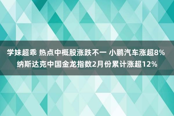 学妹超乖 热点中概股涨跌不一 小鹏汽车涨超8% 纳斯达克中国金龙指数2月份累计涨超12%