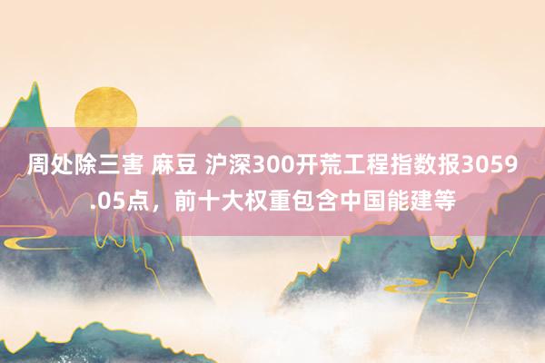 周处除三害 麻豆 沪深300开荒工程指数报3059.05点，前十大权重包含中国能建等