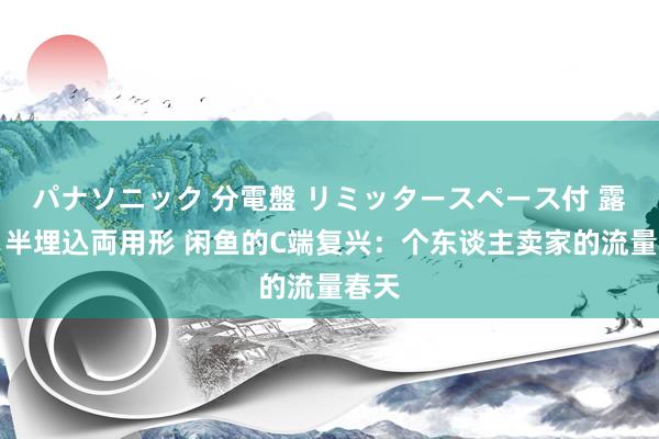 パナソニック 分電盤 リミッタースペース付 露出・半埋込両用形 闲鱼的C端复兴：个东谈主卖家的流量春天