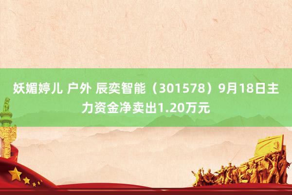 妖媚婷儿 户外 辰奕智能（301578）9月18日主力资金净卖出1.20万元