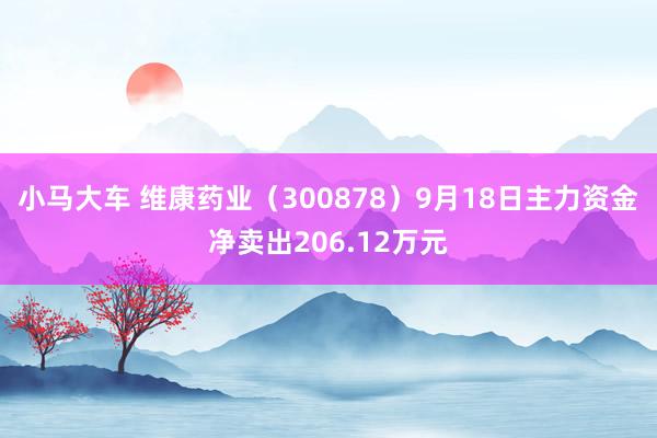 小马大车 维康药业（300878）9月18日主力资金净卖出206.12万元