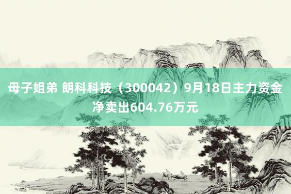 母子姐弟 朗科科技（300042）9月18日主力资金净卖出604.76万元