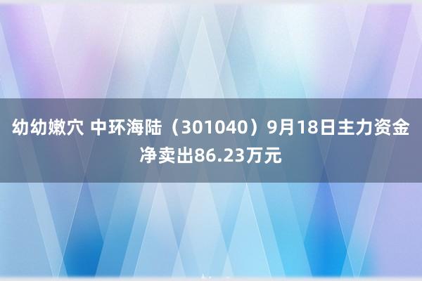 幼幼嫩穴 中环海陆（301040）9月18日主力资金净卖出86.23万元