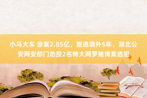 小马大车 涉案2.85亿，叛逃境外5年，湖北公安网安部门劝投2名特大网罗赌博案逃犯