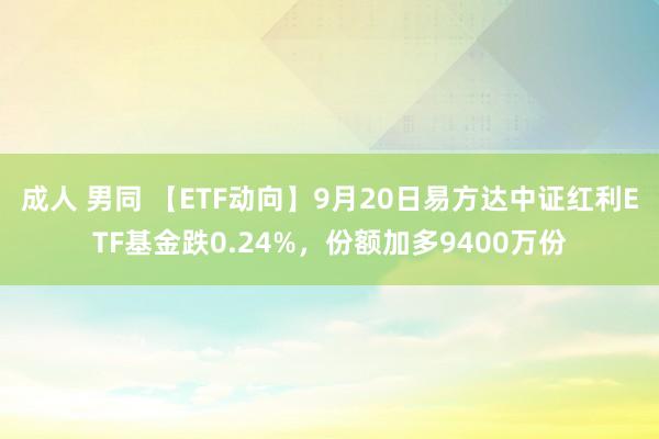 成人 男同 【ETF动向】9月20日易方达中证红利ETF基金跌0.24%，份额加多9400万份