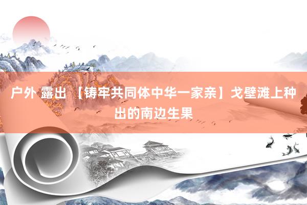 户外 露出 【铸牢共同体中华一家亲】戈壁滩上种出的南边生果