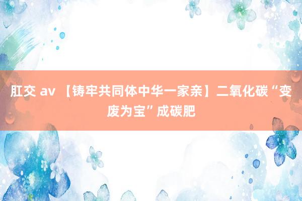 肛交 av 【铸牢共同体中华一家亲】二氧化碳“变废为宝”成碳肥