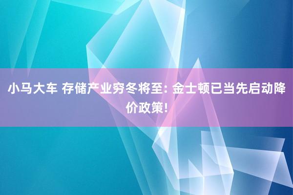 小马大车 存储产业穷冬将至: 金士顿已当先启动降价政策!