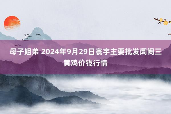 母子姐弟 2024年9月29日寰宇主要批发阛阓三黄鸡价钱行情