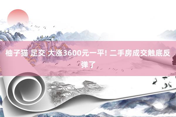 柚子猫 足交 大涨3600元一平! 二手房成交触底反弹了