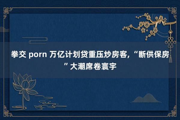 拳交 porn 万亿计划贷重压炒房客, “断供保房”大潮席卷寰宇