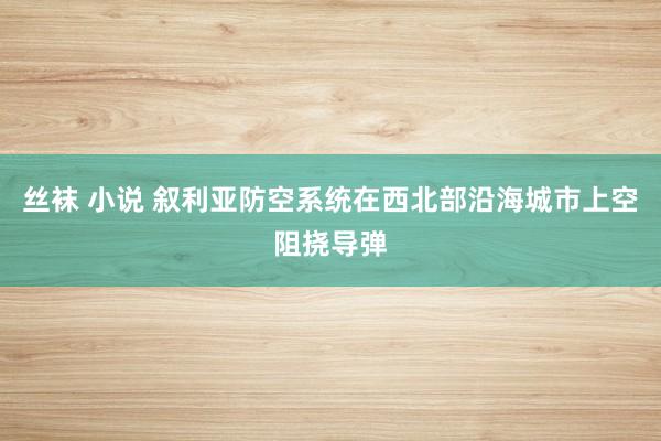 丝袜 小说 叙利亚防空系统在西北部沿海城市上空阻挠导弹