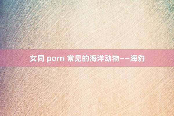 女同 porn 常见的海洋动物——海豹