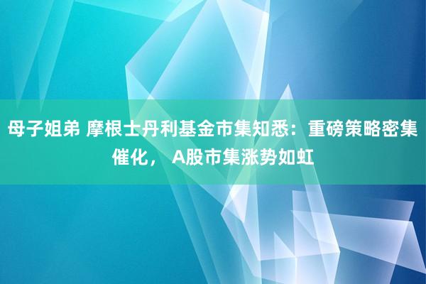 母子姐弟 摩根士丹利基金市集知悉：重磅策略密集催化， A股市集涨势如虹