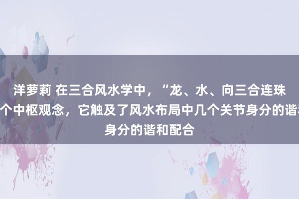 洋萝莉 在三合风水学中，“龙、水、向三合连珠”是一个中枢观念，它触及了风水布局中几个关节身分的谐和配合