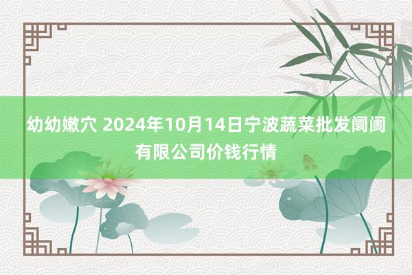 幼幼嫩穴 2024年10月14日宁波蔬菜批发阛阓有限公司价钱行情