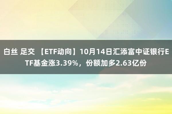 白丝 足交 【ETF动向】10月14日汇添富中证银行ETF基金涨3.39%，份额加多2.63亿份