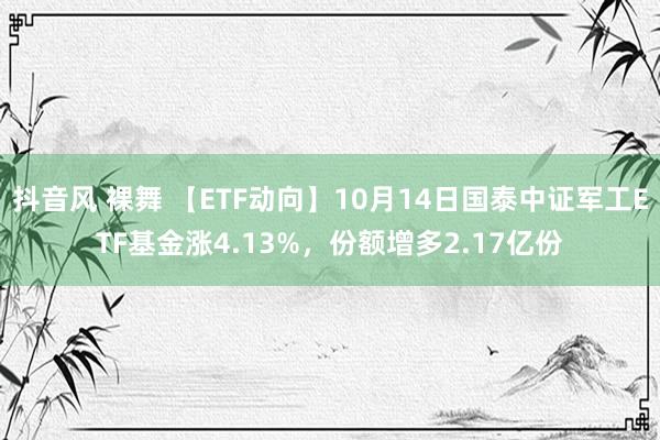 抖音风 裸舞 【ETF动向】10月14日国泰中证军工ETF基金涨4.13%，份额增多2.17亿份