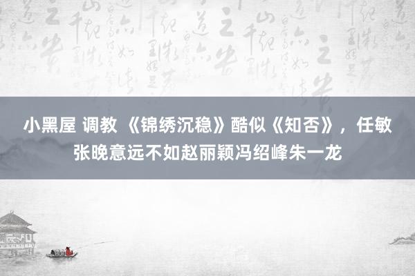 小黑屋 调教 《锦绣沉稳》酷似《知否》，任敏张晚意远不如赵丽颖冯绍峰朱一龙