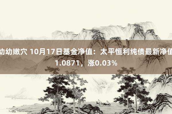 幼幼嫩穴 10月17日基金净值：太平恒利纯债最新净值1.0871，涨0.03%