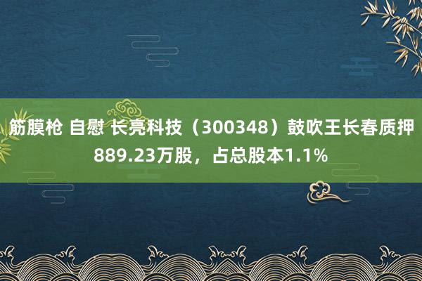 筋膜枪 自慰 长亮科技（300348）鼓吹王长春质押889.23万股，占总股本1.1%