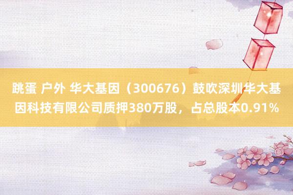 跳蛋 户外 华大基因（300676）鼓吹深圳华大基因科技有限公司质押380万股，占总股本0.91%