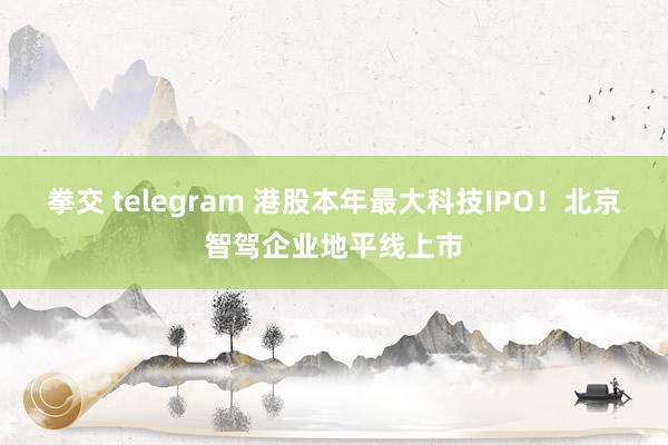 拳交 telegram 港股本年最大科技IPO！北京智驾企业地平线上市