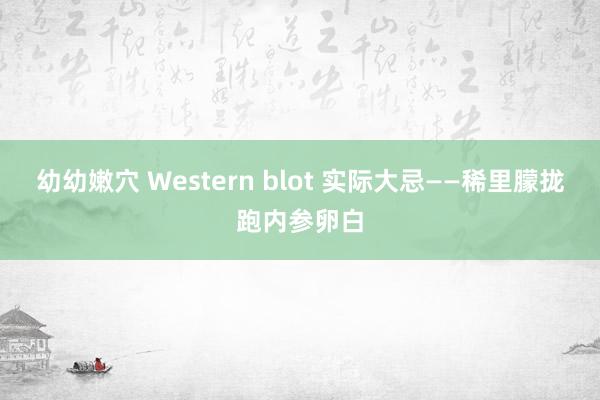 幼幼嫩穴 Western blot 实际大忌——稀里朦拢跑内参卵白