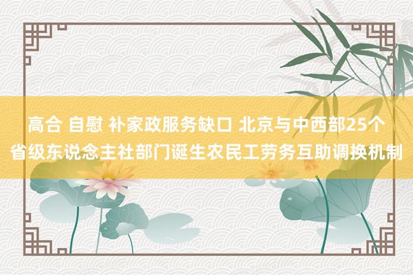 高合 自慰 补家政服务缺口 北京与中西部25个省级东说念主社部门诞生农民工劳务互助调换机制