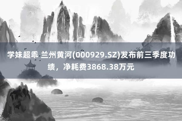 学妹超乖 兰州黄河(000929.SZ)发布前三季度功绩，净耗费3868.38万元