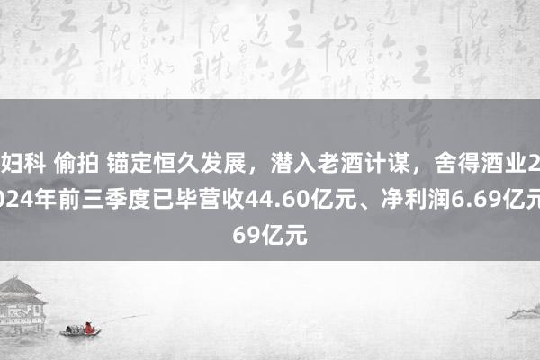 妇科 偷拍 锚定恒久发展，潜入老酒计谋，舍得酒业2024年前三季度已毕营收44.60亿元、净利润6.69亿元