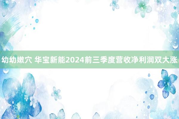 幼幼嫩穴 华宝新能2024前三季度营收净利润双大涨