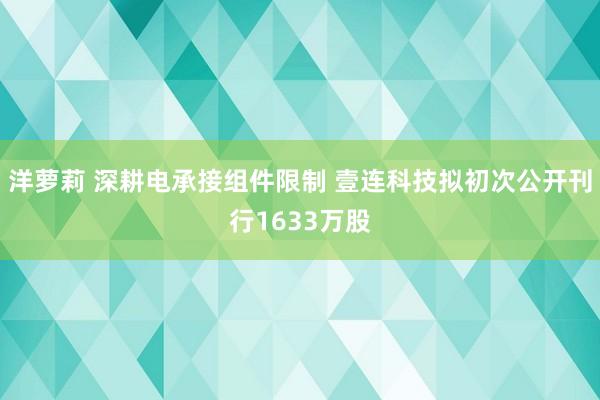 洋萝莉 深耕电承接组件限制 壹连科技拟初次公开刊行1633万股