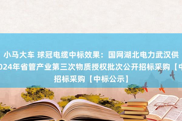 小马大车 球冠电缆中标效果：国网湖北电力武汉供电公司2024年省管产业第三次物质授权批次公开招标采购【中标公示】