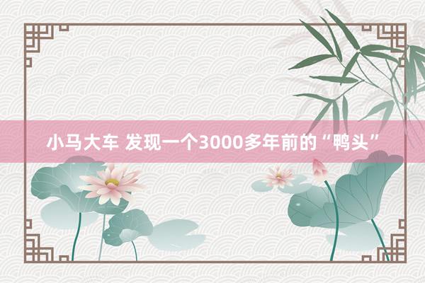 小马大车 发现一个3000多年前的“鸭头”