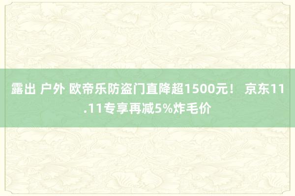 露出 户外 欧帝乐防盗门直降超1500元！ 京东11.11专享再减5%炸毛价