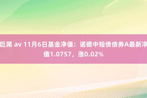 巨屌 av 11月6日基金净值：诺德中短债债券A最新净值1.0757，涨0.02%