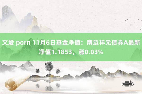 文爱 porn 11月6日基金净值：南边祥元债券A最新净值1.1853，涨0.03%