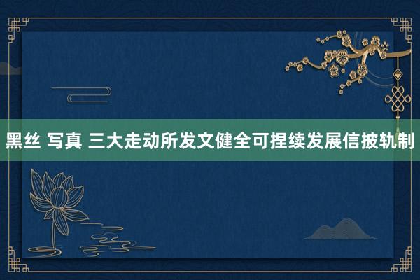 黑丝 写真 三大走动所发文健全可捏续发展信披轨制