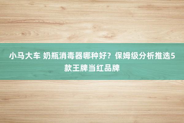 小马大车 奶瓶消毒器哪种好？保姆级分析推选5款王牌当红品牌