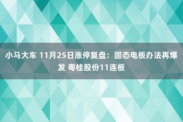 小马大车 11月25日涨停复盘：固态电板办法再爆发 粤桂股份11连板