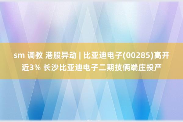 sm 调教 港股异动 | 比亚迪电子(00285)高开近3% 长沙比亚迪电子二期技俩端庄投产