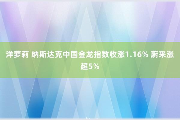 洋萝莉 纳斯达克中国金龙指数收涨1.16% 蔚来涨超5%