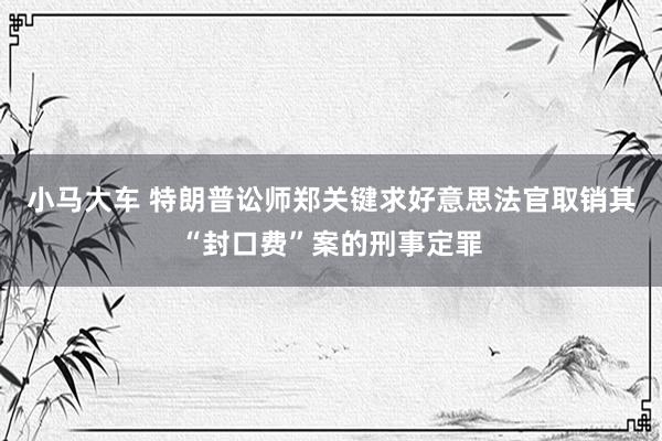 小马大车 特朗普讼师郑关键求好意思法官取销其“封口费”案的刑事定罪