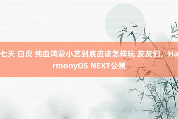 七天 白虎 纯血鸿蒙小艺到底应该怎样玩 友友们，HarmonyOS NEXT公测