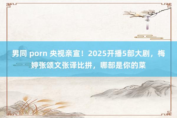 男同 porn 央视亲宣！2025开播5部大剧，梅婷张颂文张译比拼，哪部是你的菜