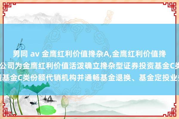 男同 av 金鹰红利价值搀杂A，金鹰红利价值搀杂C: 新增中航证券有限公司为金鹰红利价值活泼确立搀杂型证券投资基金C类份额代销机构并通畅基金退换、基金定投业务及费率优惠的公告