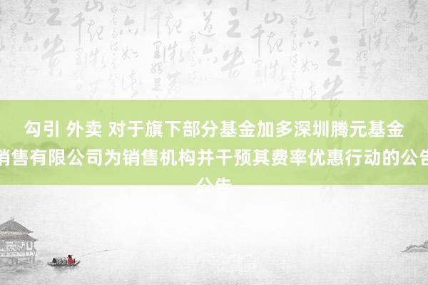 勾引 外卖 对于旗下部分基金加多深圳腾元基金销售有限公司为销售机构并干预其费率优惠行动的公告