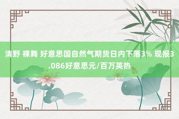 清野 裸舞 好意思国自然气期货日内下落3% 现报3.086好意思元/百万英热