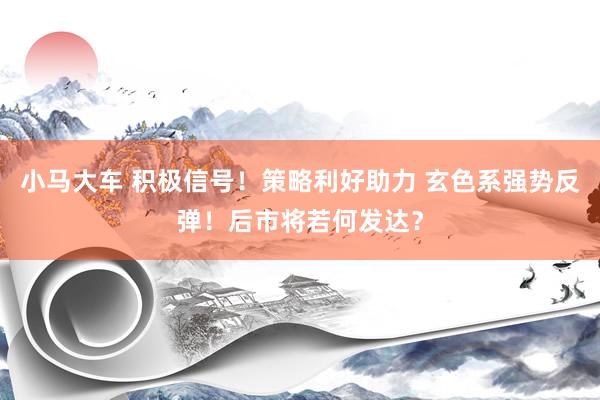 小马大车 积极信号！策略利好助力 玄色系强势反弹！后市将若何发达？